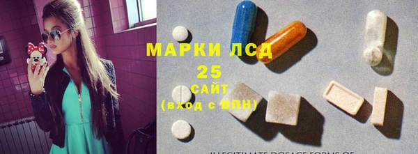 стаф Заводоуковск