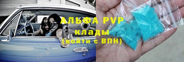 стаф Заводоуковск