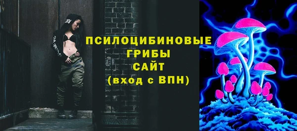 стаф Заводоуковск