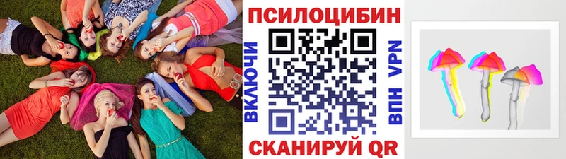 Купить закладки  Салават  Галлюциногенные грибы MAGIC MUSHROOMS 